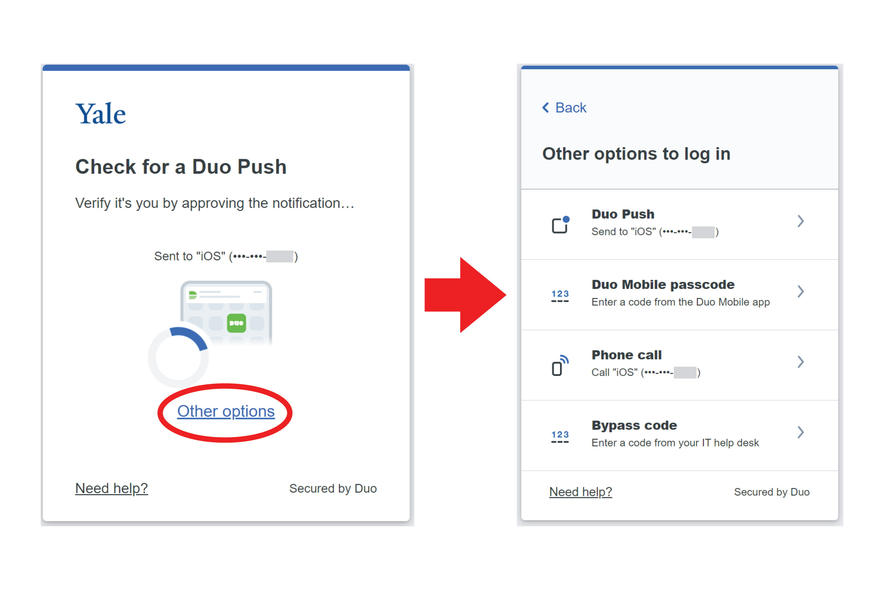 Bee in the Know: Updates to DUO/MFA for a More Secure Yale